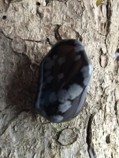 Obsidian - Schneeflockenobsidian - Trommelstein