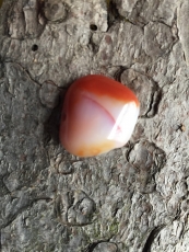 Opal - Feueropal - Trommelstein, gebohrt