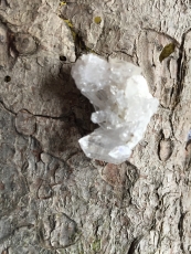 Bergkristall - Stufe, klein