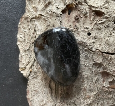 Arfvedsonit - Trommelstein, gebohrt