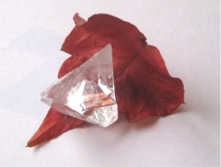 Apophyllit, farblos - Kristall