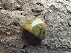 Opal - Moosopal - Trommelstein, gebohrt