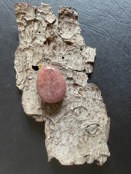 Muskovit, rot (Glimmer) - Trommelstein, gebohrt